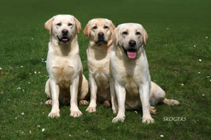 our three new stars