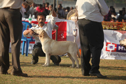 ind ch linjor rosen creek