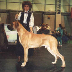 Khan at Crufts